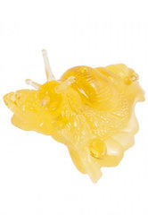 Amber souvenir “Snail”