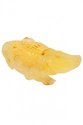 Amber souvenir “Crocodile”