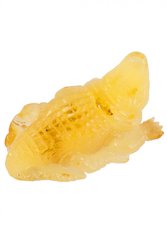 Amber souvenir “Crocodile”