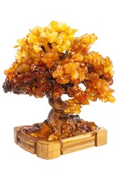 Amber bonsai tree