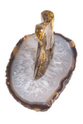 Amber souvenir with inclusion on a stand