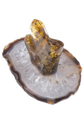 Amber souvenir with inclusion on a stand