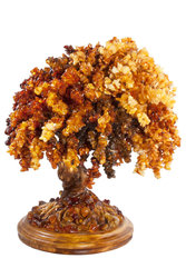 Amber bonsai tree