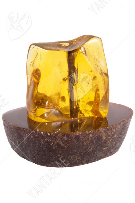 Amber souvenir with inclusion on a stand