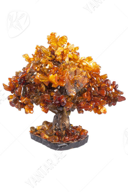 Bonsai tree with amber stones