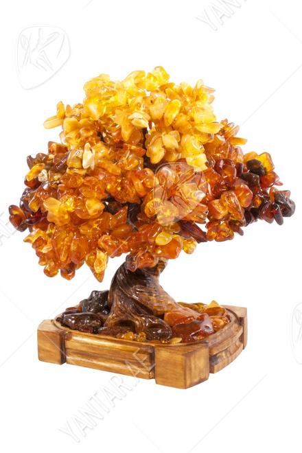 Amber bonsai tree