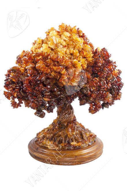 Bonsai tree with amber stones