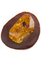 Amber souvenir with inclusion on a stand