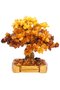 Amber bonsai tree